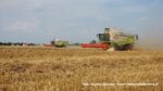 IS DSCF9516 150x84 Żniwa 2020 w Kom Rol Kobylniki. Claas Lexion 480, 3x 580 oraz niezastąpione Ursusy i Stary – FOTO