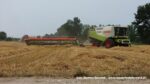 IS DSCF9520 150x84 Żniwa 2020 w Kom Rol Kobylniki. Claas Lexion 480, 3x 580 oraz niezastąpione Ursusy i Stary ? FOTO