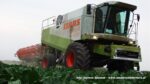 IS DSCF9526 150x84 Żniwa 2020 w Kom Rol Kobylniki. Claas Lexion 480, 3x 580 oraz niezastąpione Ursusy i Stary – FOTO