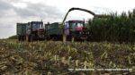 IS DSCF9897 150x84 Ursusy, DT y i Claas Jaguar vs.1000 ha kukurydzy w Kom Rol Kobylniki   FOTO