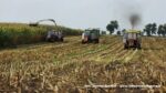 IS DSCF9908 150x84 Ursusy, DT y i Claas Jaguar vs.1000 ha kukurydzy w Kom Rol Kobylniki   FOTO