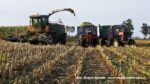 IS DSCF9929 150x84 Ursusy, DT y i Claas Jaguar vs.1000 ha kukurydzy w Kom Rol Kobylniki   FOTO