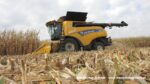 IS IMG 0166 150x84 New Holland CR 9.90 Revelation w kukurydzy   FOTO