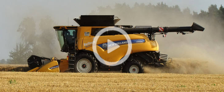 New Holland CR zniwa 2021 film New Holland CR 9.90 Revelation w zbiorze kukurydzy na Kujawach   VIDEO