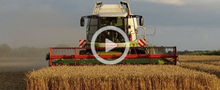 Claas Lexion 3x zniwa 2021 film Żniwa 2020   3x Claas Lexion i zadyma w rzepaku   FOTO