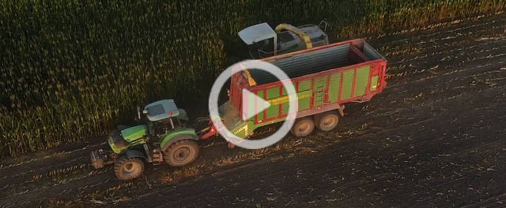 Deutz Fahr John Deere Claas kukurydza 2021 film Kukurydza na Krajnie 2019 – jeździmy z Olą i operatorami z zielonego teamu – WIDEO