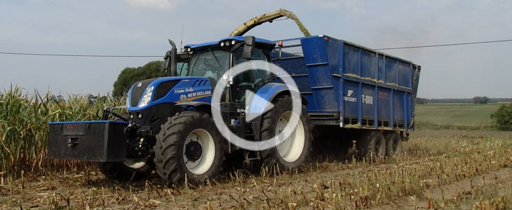 New Holland Case John Deere kukurydza 2021 film Kukurydza na Krajnie 2021 – pędzące zestawy   VIDEO