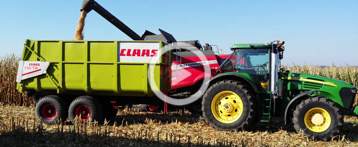 Massey Ferguson John Deere Claas kukurydza 2021 film Claas Lexion 760 w kukurydzy (VIDEO)