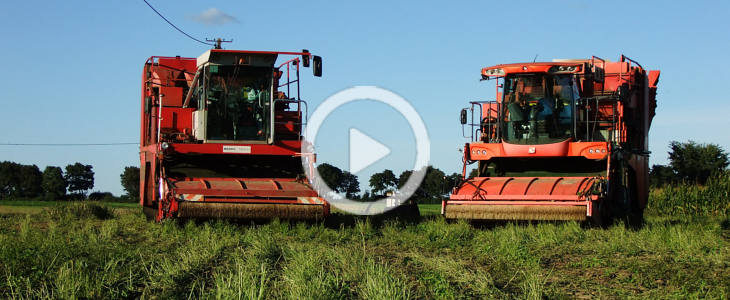 Zbior fasoli BOURGOIN BCMH 2021 film Brona mulczowa BM 7.5 ? nowość w ofercie firmy AGRO MASZ