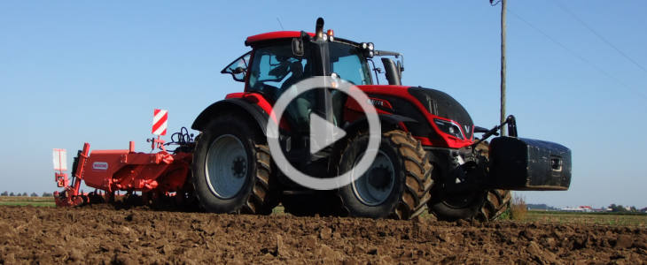 Valtra T Maschio Gaspardo 2021 film Kombajn Grimme Varitron 270 (354 KM) na polach w Parchaniu podczas zbioru marchewki   FOTO