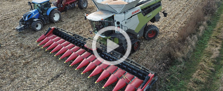 CGFP kukurydza Claas Lexion John Deere Case 2021 film Valtra T255 piątej generacji i Valtra N142   polowy debiut na Kujawach   VIDEO