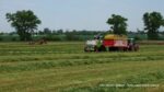 IS DSCF2167 150x84 Lucerna w Kom Rol Kobylniki ? Fendt 936 + Pottinger Jumbo, Ursus 1222 + Pottinger Top, Claas Jaguar 880 (FOTO)