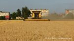 IS DSCF2786 150x84 Żniwa 2021 z New Holland CR 9.90 Revelation i CR 980   FOTO