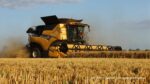 IS DSCF2793 150x84 Żniwa 2021 z New Holland CR 9.90 Revelation i CR 980   FOTO