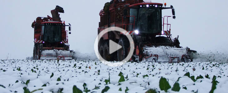 holmer Terra Dos T4 buraki zima 2021 film Kombajn Grimme Varitron 270 (354 KM) na polach w Parchaniu podczas zbioru marchewki   FOTO