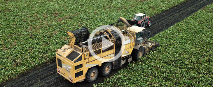 Kom Rol Ursus buraki 2021 film W jesiennej uprawie: Fendt 942 Vario i Vaderstad TopDown 400