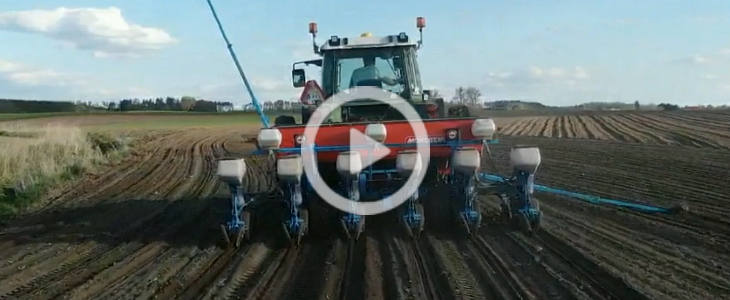 Fendt John Deere kukurydza Mojzesowicz 2022 film Massey Ferguson 8280 na szerokich kołach – wapnowanie 2022 w GR Mojzesowicz   VIDEO