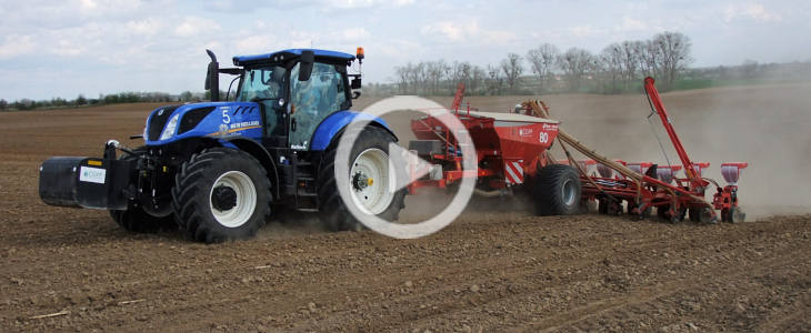 New Holland T7 Kverneland CGFP siew kukurydza 2022 film Siew kukurydzy 2022: Czarny Massey Ferguson 7719S NEXT EDITION + Gaspardo   VIDEO