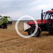 Ursus Claas zniwa 2022 film 180x180 Kujawsko Pałuckie Wyścigi Traktorów Wielowieś 2022 – fotorelacja
