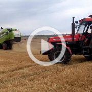 Ursus Claas zniwa 2022 film 180x180 Claas Tucano 440 w asyście ciągników John Deere i Fendt   Kukurydza 2013 (VIDEO)