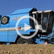 Bizon BS Z110 zniwa 2022 film 180x180 Żniwa 2022   BIZON Z056 na Kujawach   VIDEO