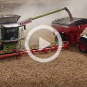 Claas Lexion Fendt Horsch 2022 film 180x180 Siew trawy w kukurydzę   pielnik + siewnik APV, New Holland TD5050   VIDEO
