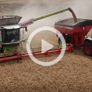 Claas Lexion Fendt Horsch 2022 film 180x180 Kukurydza 2022 w CGFP Wojnowo: John Deere X9 1100, S790i, Claas Lexion 8900   VIDEO