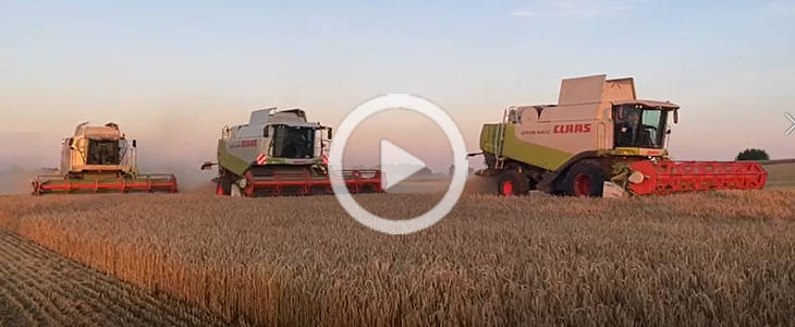 Claas Lexion Trio 2022 film Żniwa 2021   3x Claas Lexion   wyścig z deszczem   VIDEO