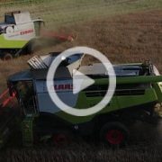 Claas Lexion rzepak Mojzesowicz zniwa 2022 film 180x180 Kukurydza 2022 w CGFP Wojnowo: John Deere X9 1100, S790i, Claas Lexion 8900   VIDEO