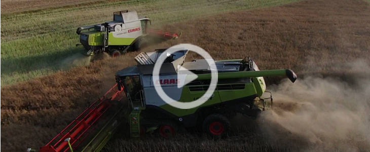 Claas Lexion rzepak Mojzesowicz zniwa 2022 film Wycinak Combi W SNR 1600   trzy w jednym