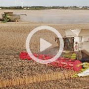 John Deere X9 Claas Lexion 8900 CGFP zniwa 2022 film 180x180 Kukurydza 2022 w CGFP Wojnowo: John Deere X9 1100, S790i, Claas Lexion 8900   VIDEO