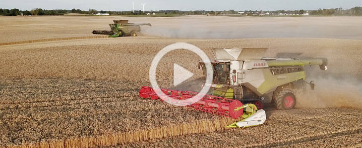 John Deere X9 Claas Lexion 8900 CGFP zniwa 2022 film Żniwa 2022 u Mariusza   Bizon BS Z110   VIDEO