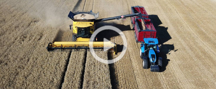 New Holland CR 9.90 2022 film 1 New Holland CR 9.90 Revelation w zbiorze kukurydzy na Kujawach   VIDEO