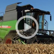 Fendt zniwa 2022 film 180x180 FENDT 6335C MCS w kukurydzy   Agrade Jacewo   VIDEO