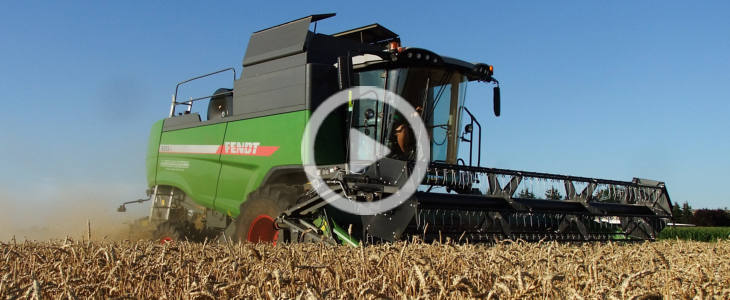 Fendt zniwa 2022 film FENDT 6335C MCS w kukurydzy   Agrade Jacewo   VIDEO