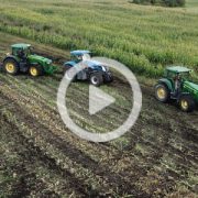 Claas Jaguar 950 John Deere New Holland kukurydza wtopa 2022 film 180x180 JOHN DEEREy wyciągają TIRy   Spichlerz Jaskóły   VIDEO