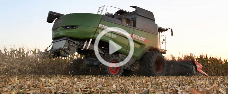 Fendt 6335C kukurydza 2022 film FENDT 6335C MCS   żniwa 2022 w Agrade Jacewo   VIDEO