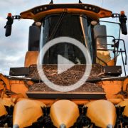 New Holland CX 5 80 kukurydza 2022 film 180x180 John Deere 6110RC + Gaspardo Pinta 600   siew pszenicy na Kujawach   VIDEO