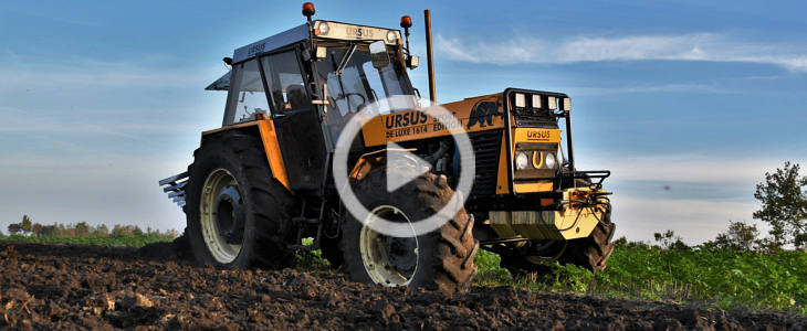 Ursus 1614 De Luxe sport edition 2022 film Profilaktyczne zastosowanie boru w uprawie buraka