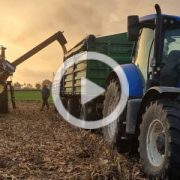 New Holland TC 5 80 kukurydza 2022 film 180x180 New Holland wprowadza na rynek pionierską aplikację prognozy pogody dla rolników.