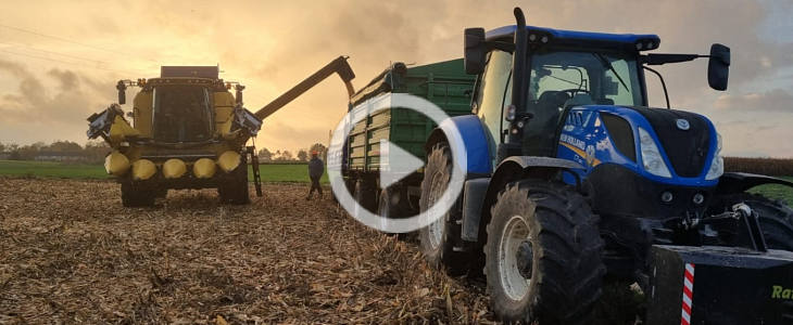 New Holland TC 5 80 kukurydza 2022 film John Deere W650 i T670i w kukurydzy   Spichlerz Jaskóły   VIDEO