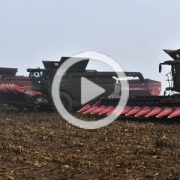 CGFP John Deere Claas Case New Holland kukurydza 2022 film 180x180 Holmer Terra Dos T2 – kampania buraczana 2022 na Kujawach   VIDEO