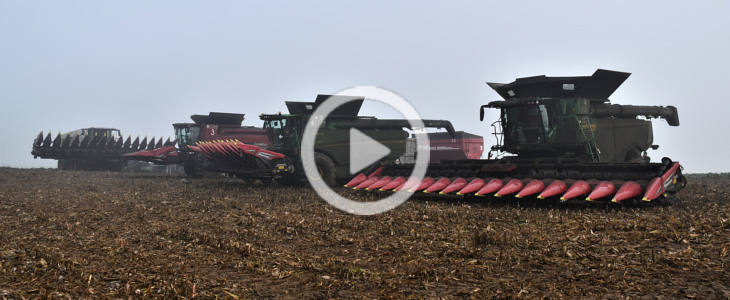 CGFP John Deere Claas Case New Holland kukurydza 2022 film Agrifac Condor kolejny sezon na polach CGFP Wojnowo   VIDEO