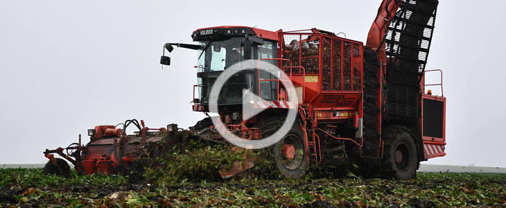 Holmer T2 zbior burakow 2022 film Groszkowe żniwa na Kujawach 2022   w polu 3 kombajny BCMH SB9000   VIDEO