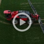 Horsch Leeb 6300 VN pszenica Mojzesowicz 2023 film 180x180 HORSCH Leeb 6.300 VN   pierwszy wjazd w pole   GR Mojzesowicz