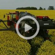 Horsch Leeb 6300 VN kwitnacy rzepak 2023 film 180x180 HORSCH Leeb 6.300 VN   pierwszy wjazd w pole   GR Mojzesowicz