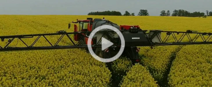 Horsch Leeb 6300 VN kwitnacy rzepak 2023 film HORSCH Leeb 6.300 VN   pierwszy wjazd w pszenicę   GR Mojzesowicz