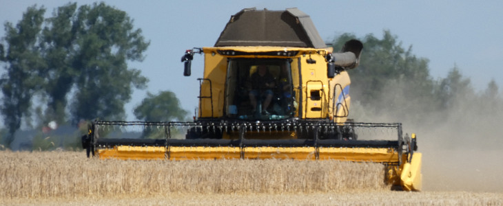 New Holland CX pokaz zniwa 2023 New Holland CX 5.80 w kukurydzy   VIDEO