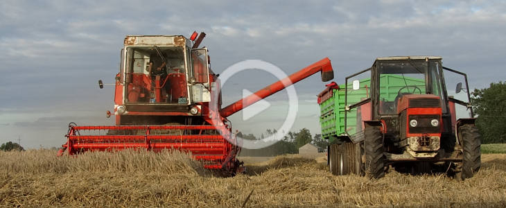 Bizon Rekord zniwa 2023 film Siew kukurydzy z firmą Stal Tech Usługi Rolnicze. W polu New Holland T7.210 AC + Kverneland Optima V6