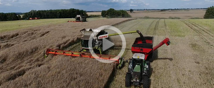 Claas Lexion 560 780 rzepak zniwa 2023 film Żniwa 2023   zdążyć przed deszczem: Claas Lexion 560, 780TT, Tucano 320 koszą do nocy